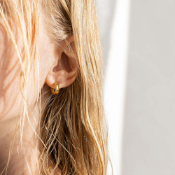 Farrah reringer 12 shiny