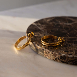 Farrah reringer 20 shiny